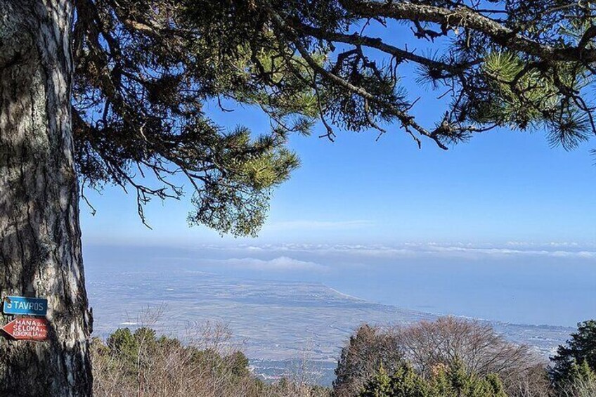 From Thessaloniki: Olympus and Dion History and Nature Day Trip