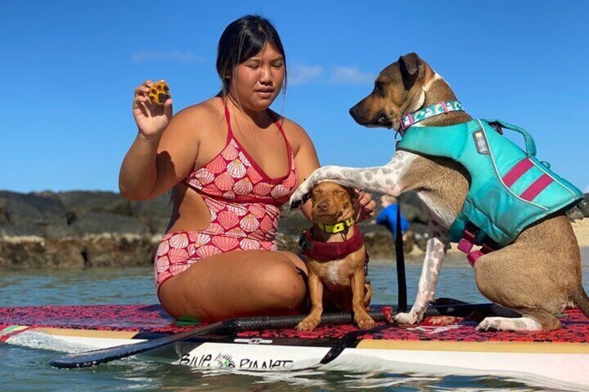 Treats provided for the pups. 