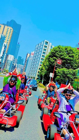 Tokyo Bay Go-Kart Tour 