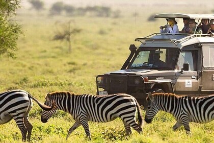 7 Day Tour in Kenya National Parks