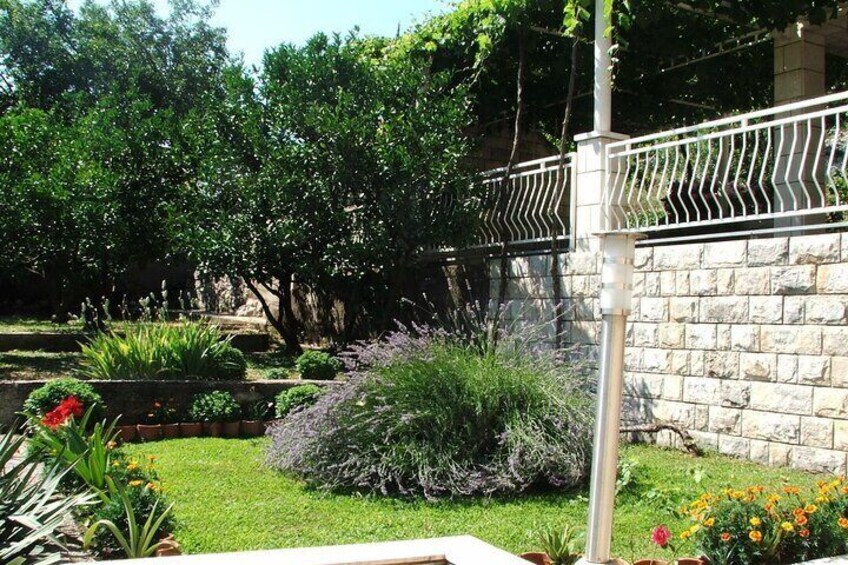 Taste and Buy Wine Private Experience in Mihanići Croatia