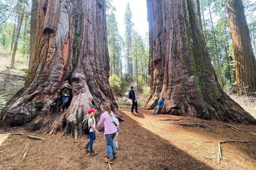 Yosemite Magic: Highlights, Sunset, and S'mores