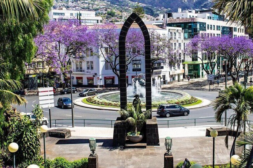 Madeira Grand Experience Private Tuk-Tuk Tour by MadTuk