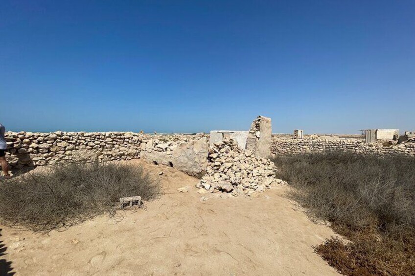 North Qatar Guided Expedition to Nature Charms