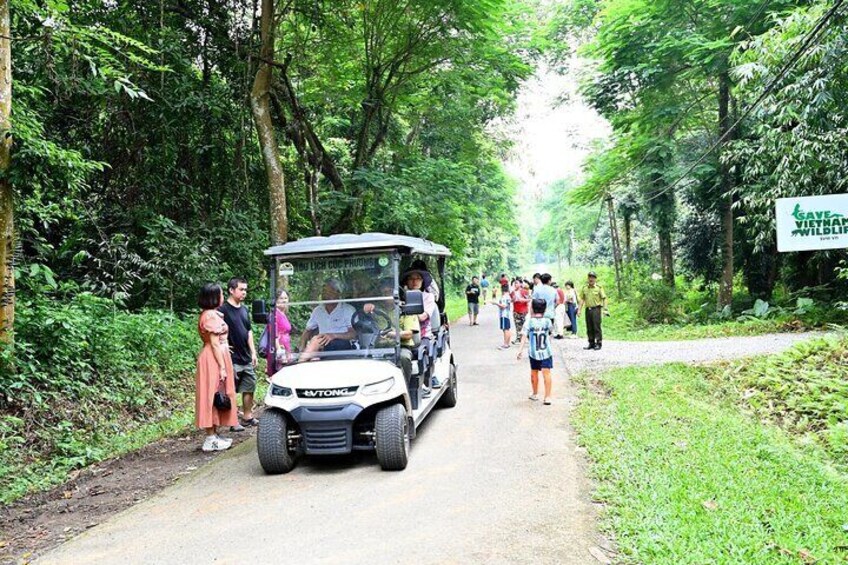 2 Days Cuc Phuong National Park Private Tour