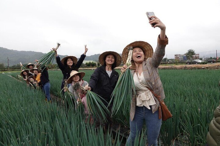 Yilan Scallion Field Guide and Pie DIY Jiaoxi Hot Spring from TPE