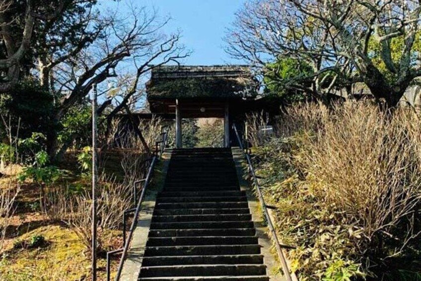 Private Tour Kamakura Yokohama Day Trip With Guide