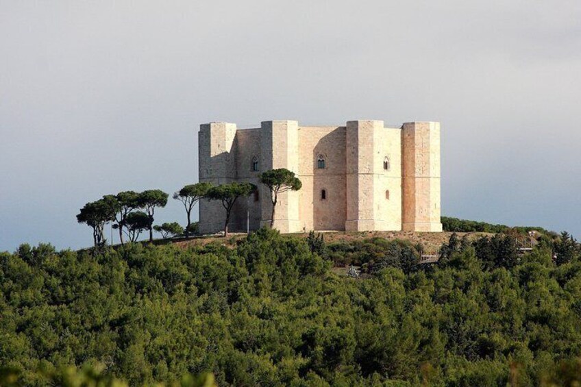 Tour with transfer from Bari to Castel del Monte