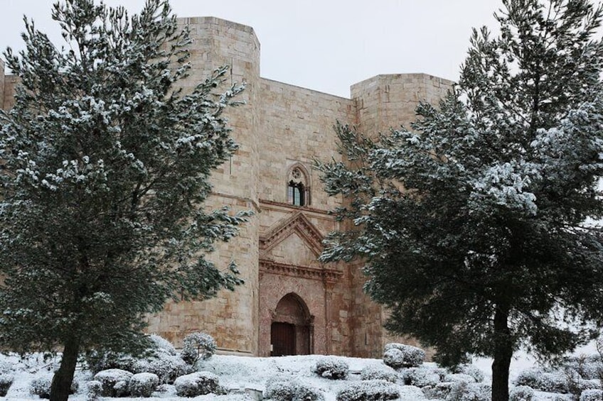Tour with transfer from Bari to Castel del Monte