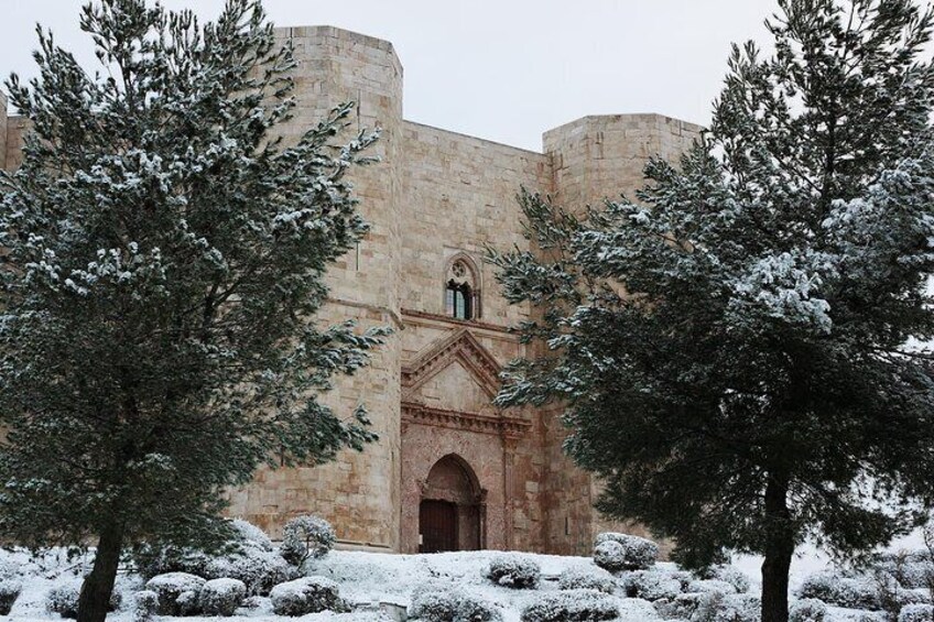 Tour with transfer from Bari to Castel del Monte