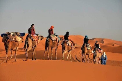 From Marrakech: 3Day Desert Tour From Marrakech to Fes