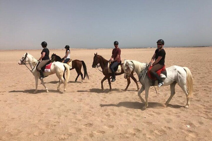 Enjoy 1-Hour Turkish Bath & 1-Hour Horse Ride - Sharm El Sheikh