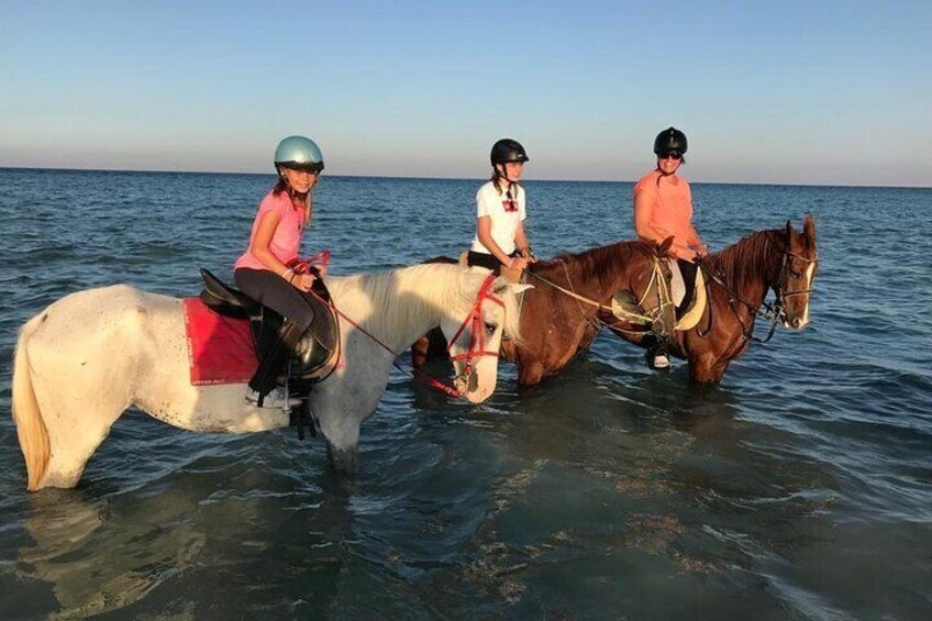 Enjoy 1-Hour Turkish Bath & 1-Hour Horse Ride - Sharm El Sheikh