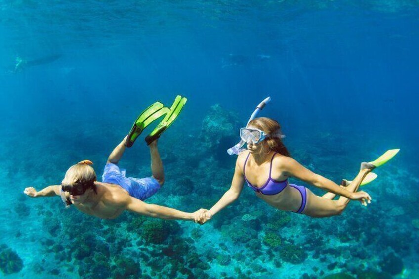 Snorkel at Palancar & Colombia Reefs