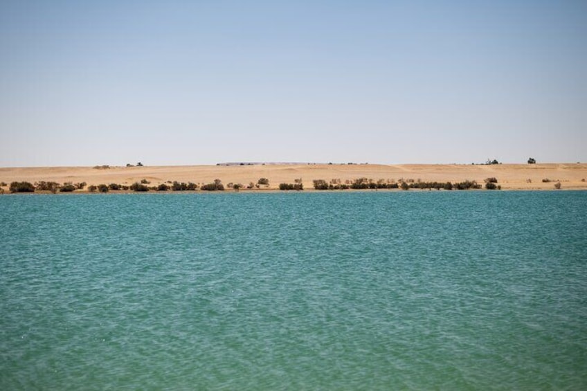 Fayoum Oasis Tour and Desert Photoshoot Experience in Egypt