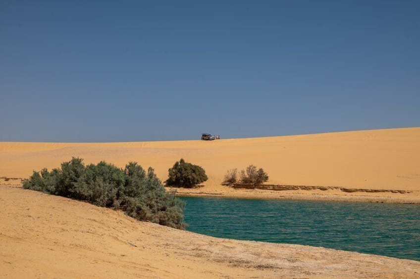 Fayoum Oasis Tour and Desert Photoshoot Experience in Egypt