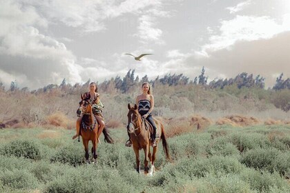 Horse Riding Adventure in the Forest and River - Agadir