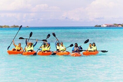 Aruba Kayak Explorers