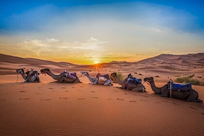 3Days 2Nights Moroccan Desert Expedition From Fes to Marrakech