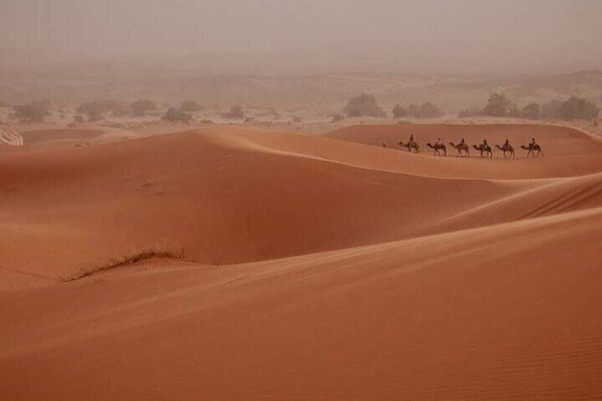 Overnight Desert Camp Experience in Erg Chebbi Dunes