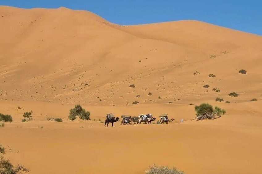 Overnight Desert Camp Experience in Erg Chebbi Dunes