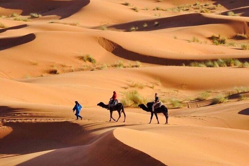 Overnight Desert Camp Experience in Erg Chebbi Dunes