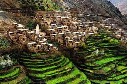 Private Tour to Atlas Mountains from Marrakech