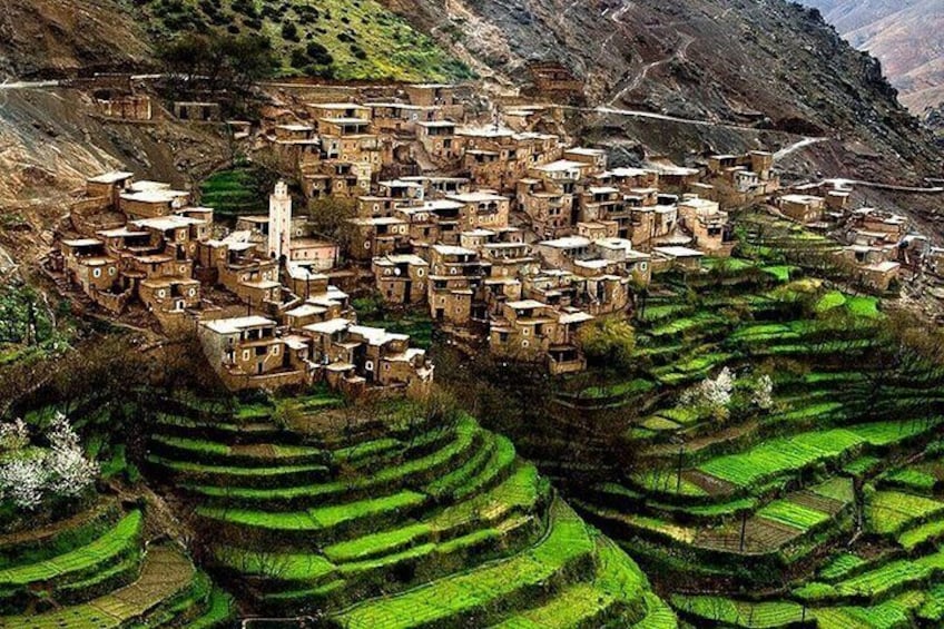 Private Tour to Atlas Mountains from Marrakech