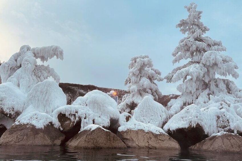 Chena Hot Spring Day Trip