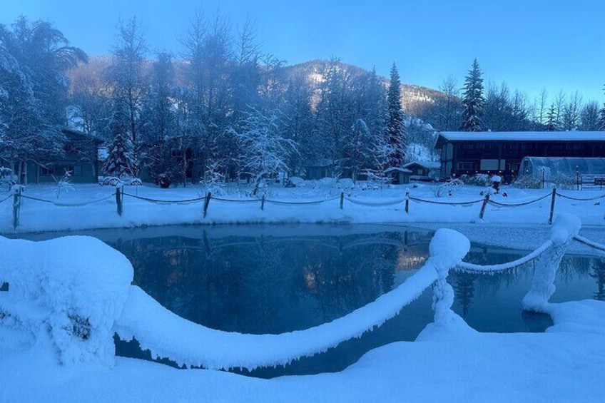 Chena Hot Spring Day Trip