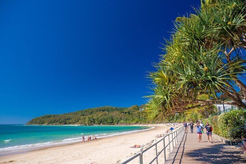 Noosa Heads Beach Side