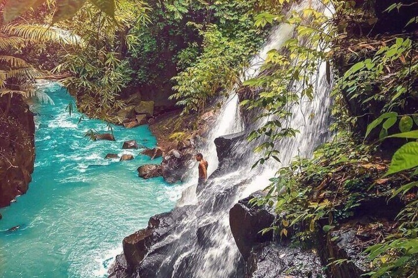 Bali Swing, Monkey Forest and Waterfalls Tour