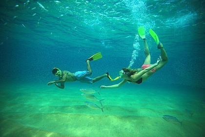 Beach Hopper Small-Group Snorkeling Tour in Los Cabos