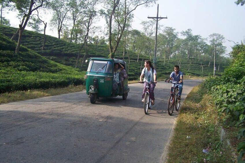 Lowacherra National Park tour in Sreemangal