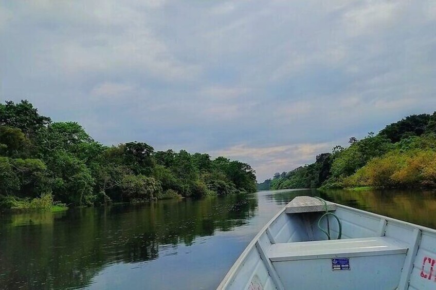 Rio AMazonas