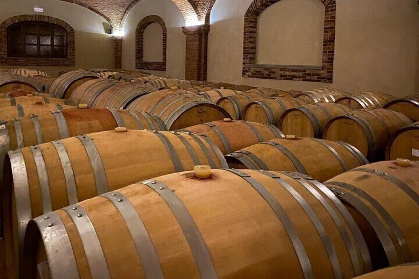 Discover Langhe wines with private tour and expert sommelier