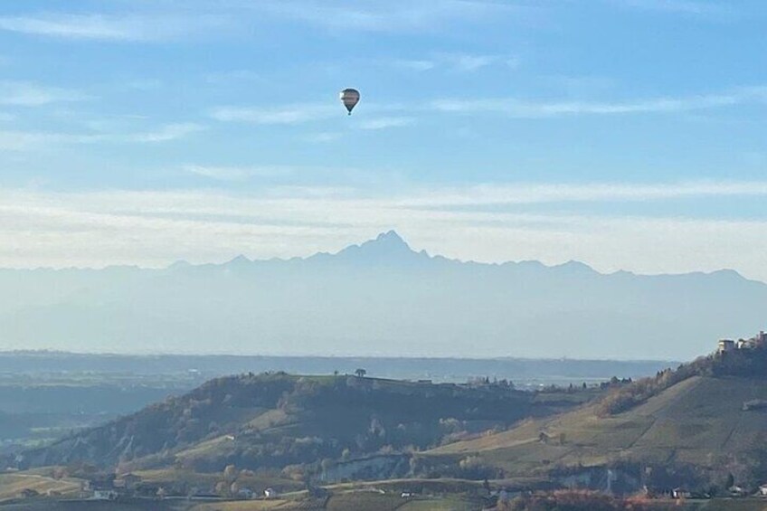 Discover Langhe wines with private tour and expert sommelier