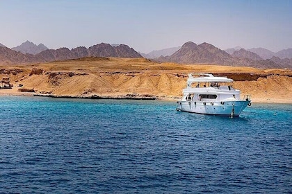 White Island and Ras Mohamed Cruise Adventure from Sharm ElSheikh
