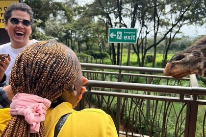 3 días de safari privado en Mara