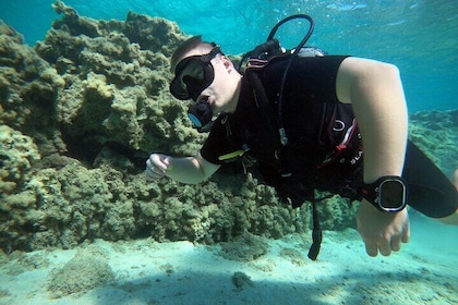 Private Scuba Diving Experience in Cyprus