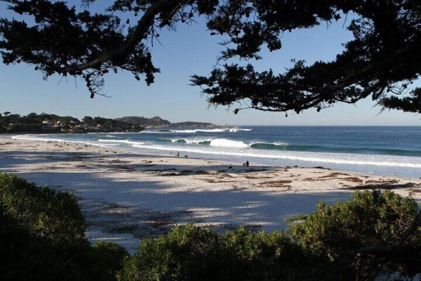 Private Carmel Beach Bonfire