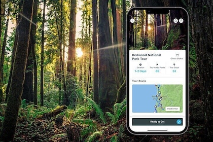 Shaka Guide: Redwood National Park Audio Tour Guide