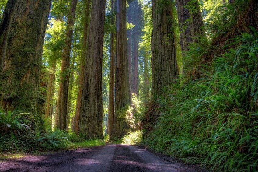 Barrel Road
