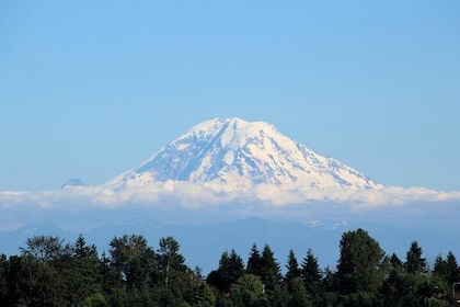 Hiking in Mount Rainier Private Tour from Seattle