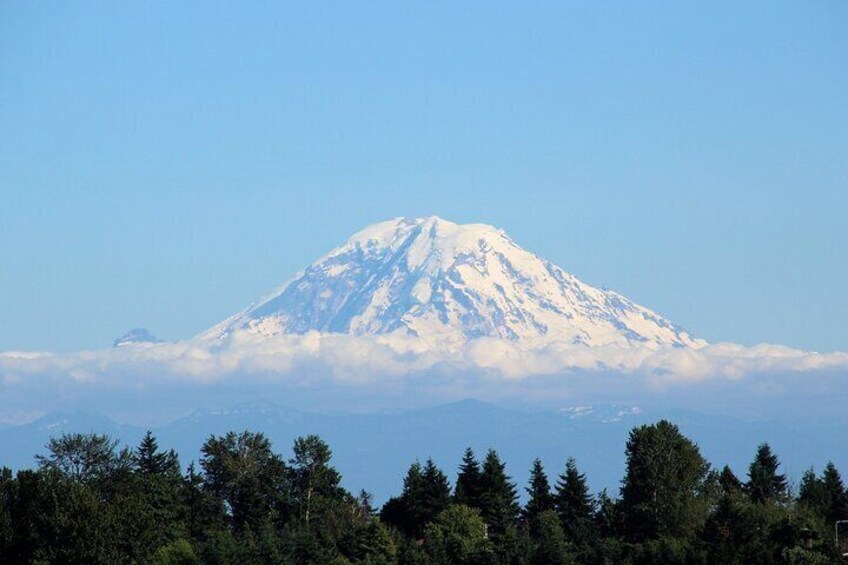 Hiking in Mount Rainier Private Tour from Seattle