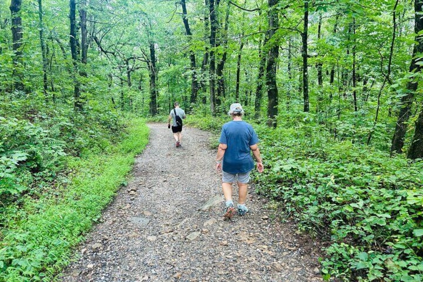 Yonah Mountain Hike Private Tour in Georgia