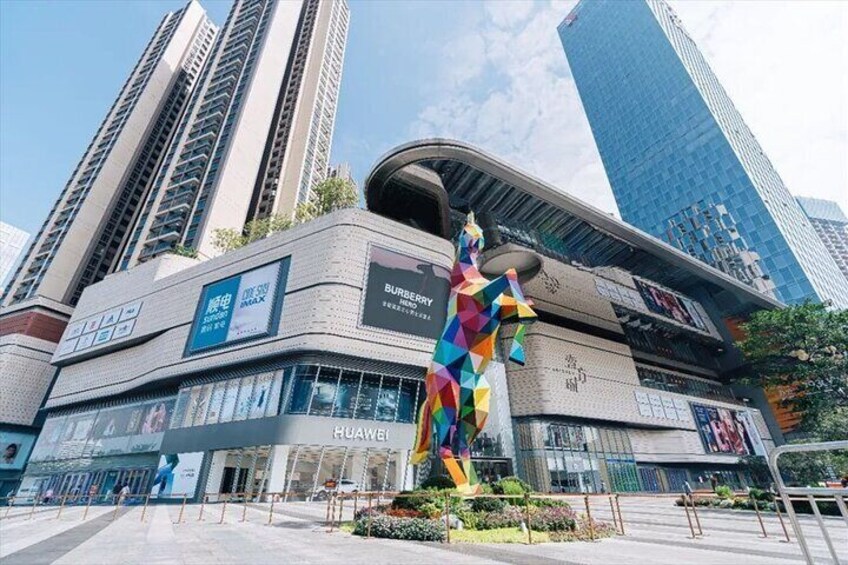 Shenzhen Private Customized Shopping Tour