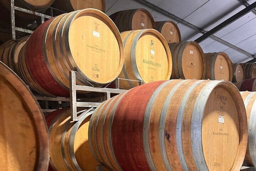 Wine Tasting tour at Stellenbosch & Franschhoek in Private car