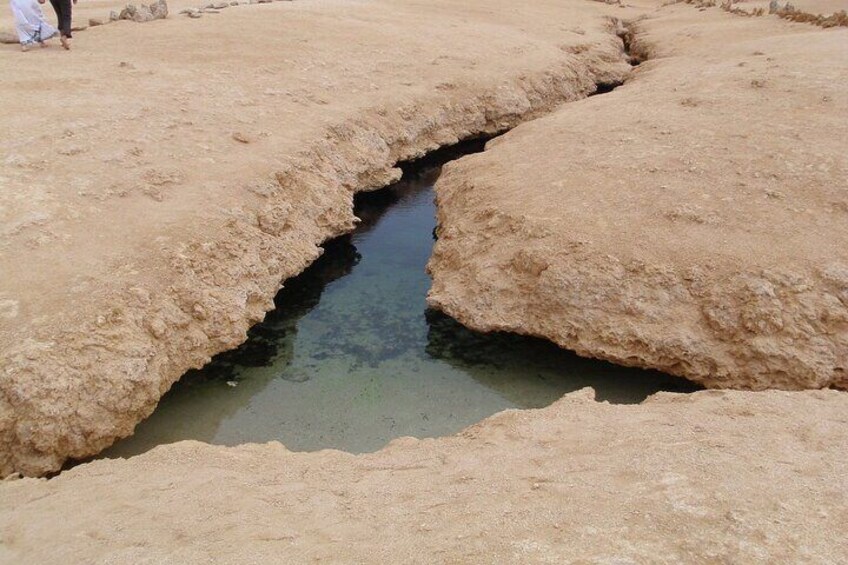 Explore Ras Mohamed: Half-Day Journey by Bus - Sharm El Sheikh