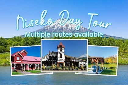Hokkaido Niseko Ski Day Tour（Depart from Sapporo）